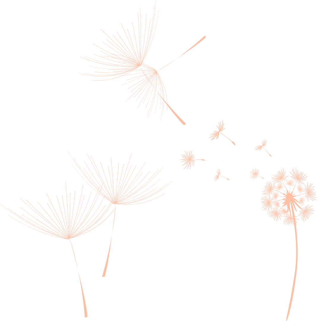 dandelion mar pallares estudio digital