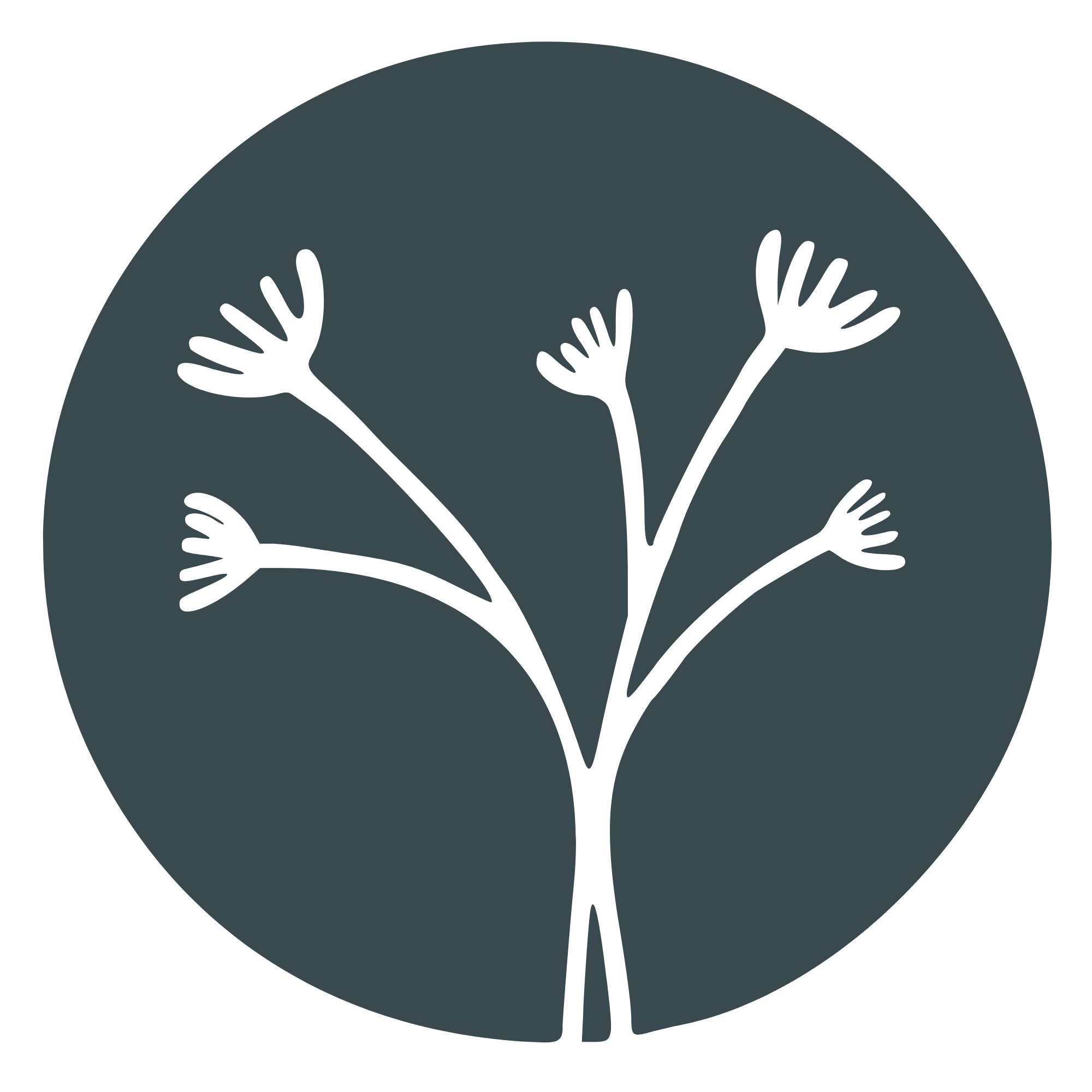 universo creativo mar pallares